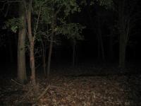 Chicago Ghost Hunters Group investigates Robinson Woods (223).JPG